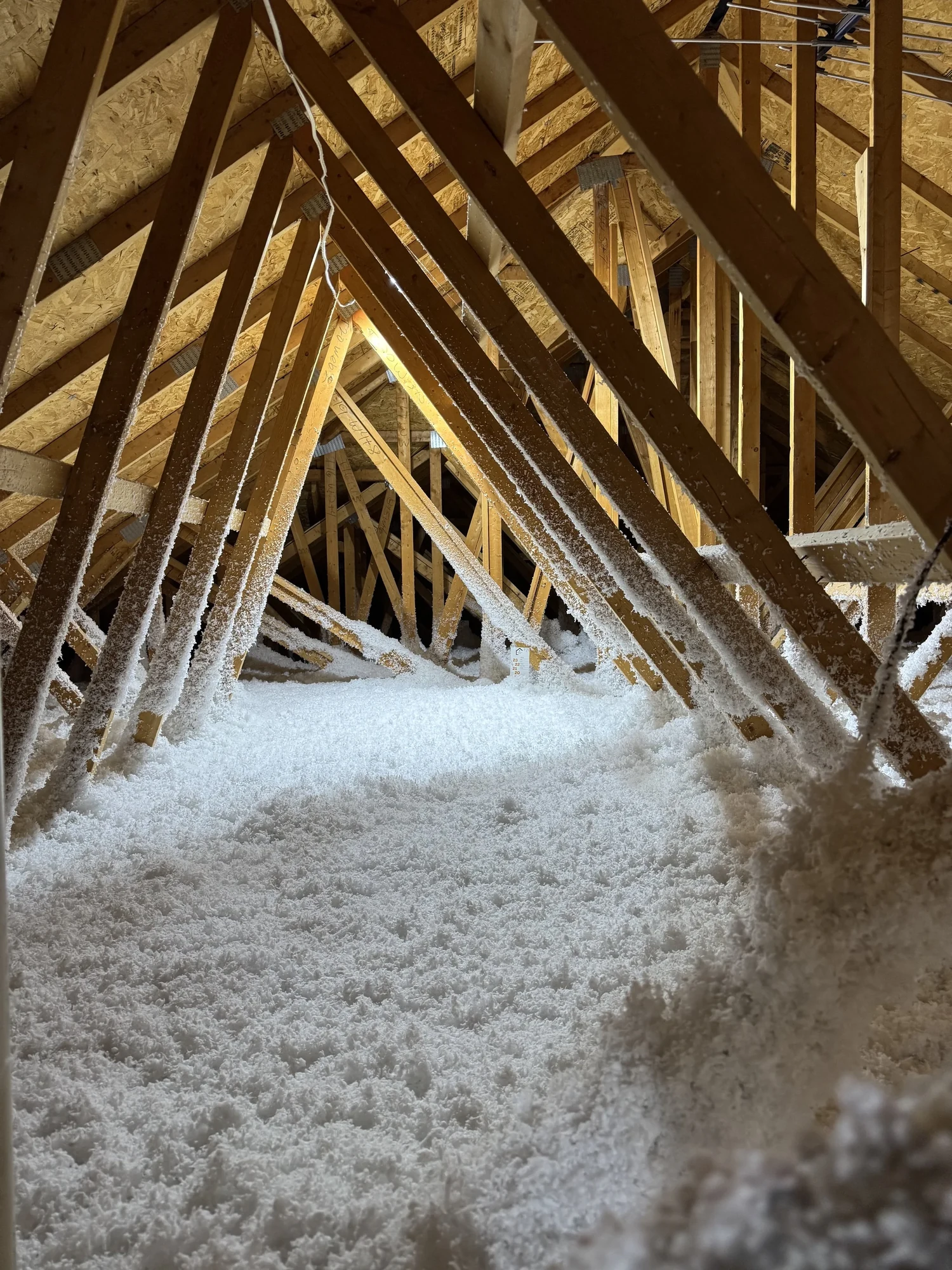 Freshly blown white loose fill spread evenly between attic trusses