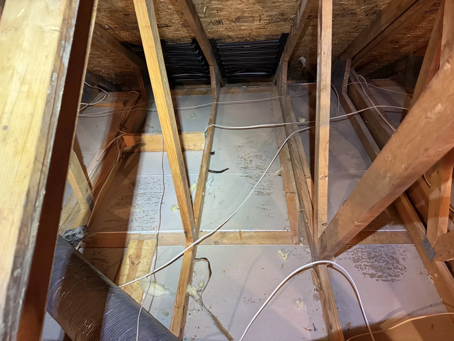 Attic with the old insulation removed, showing bare ceiling drywall between the trusses