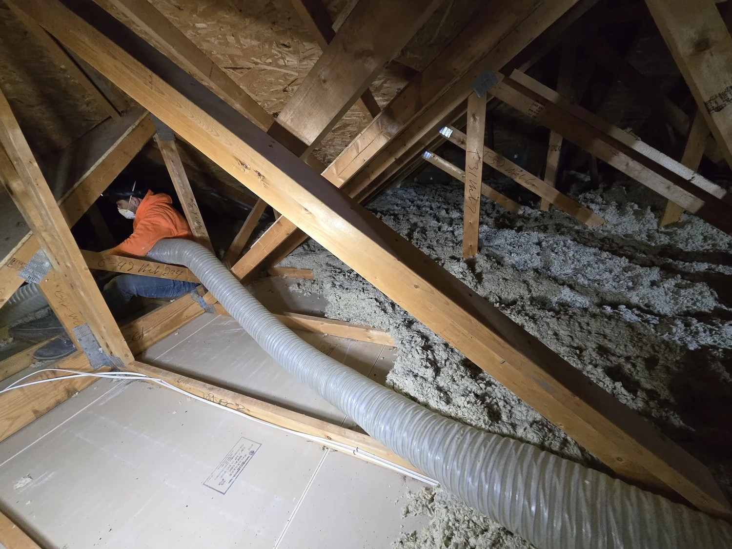 Installer in an attic with a grey removal hose pulling out old insulation